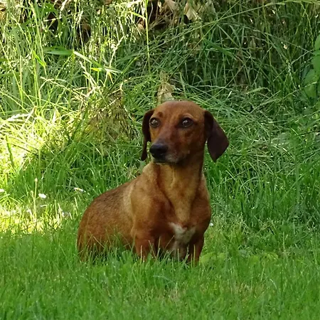Kempelen Kuria * Esztergom
